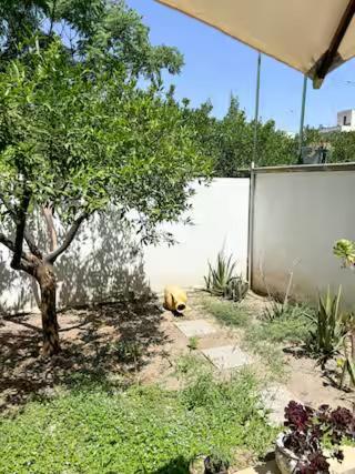 Origini - Apartment With Private Garden Лечче Екстер'єр фото